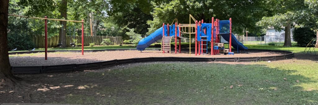 A playground with blue plastic slides, a rounded ladder, bridge, and other play features set into an area of light brown woodchips on the right side of the image. On the left is a swingset in the woodchip area. Green trees are behind, green grass is in the foreground.