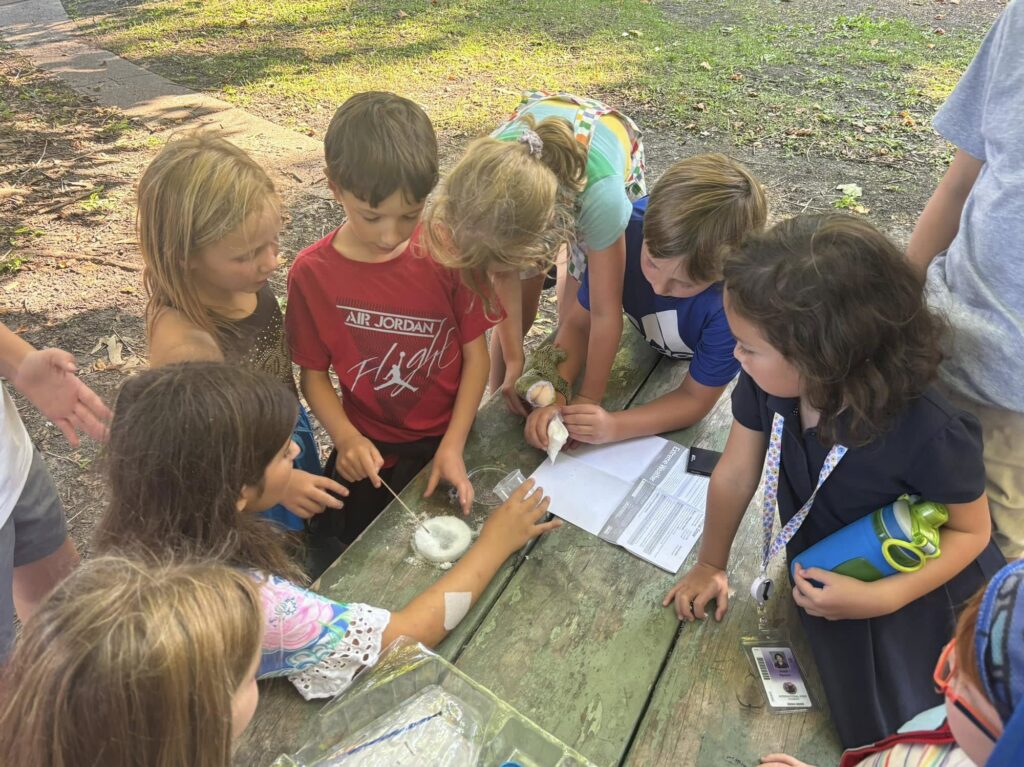 A circle of several elementary-aged children gathered around a brown picnic table outdoors looking at a science project including a white substance in a round hand-sized bowl.